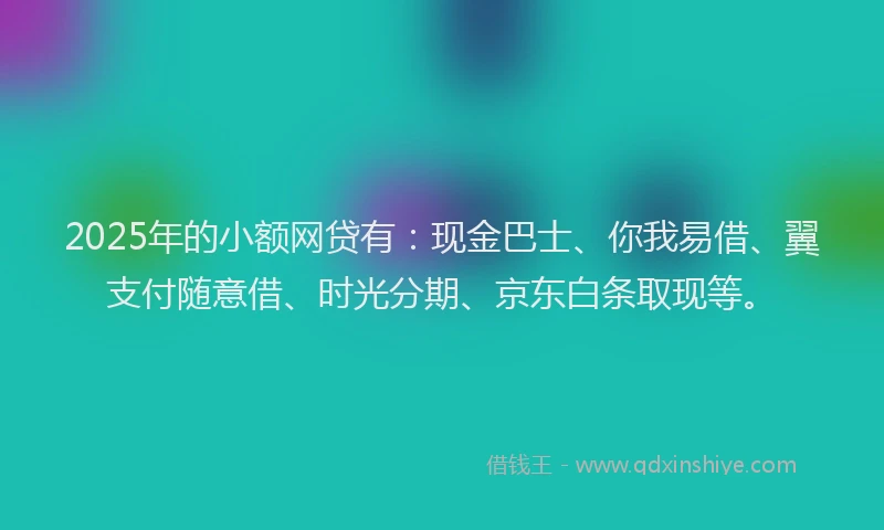 2025年的小额网贷有：现金巴士、你我易借、翼支付随意借、时光分期、京东白条取现等。