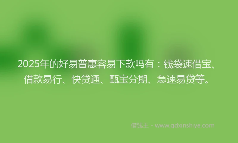 2025年的好易普惠容易下款吗有：钱袋速借宝、借款易行、快贷通、甄宝分期、急速易贷等。