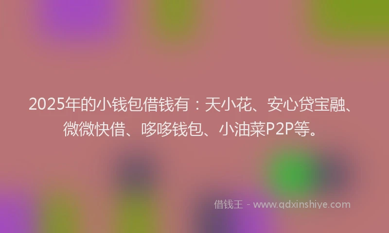 2025年的小钱包借钱有：天小花、安心贷宝融、微微快借、哆哆钱包、小油菜P2P等。