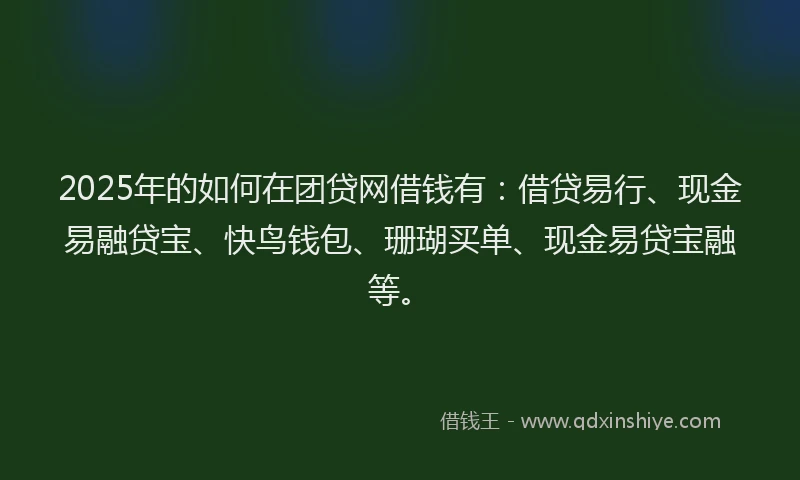 2025年的如何在团贷网借钱有：借贷易行、现金易融贷宝、快鸟钱包、珊瑚买单、现金易贷宝融等。