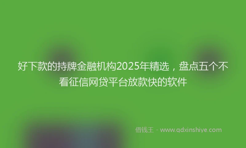 好下款的持牌金融机构2025年精选，盘点五个不看征信网贷平台放款快的软件