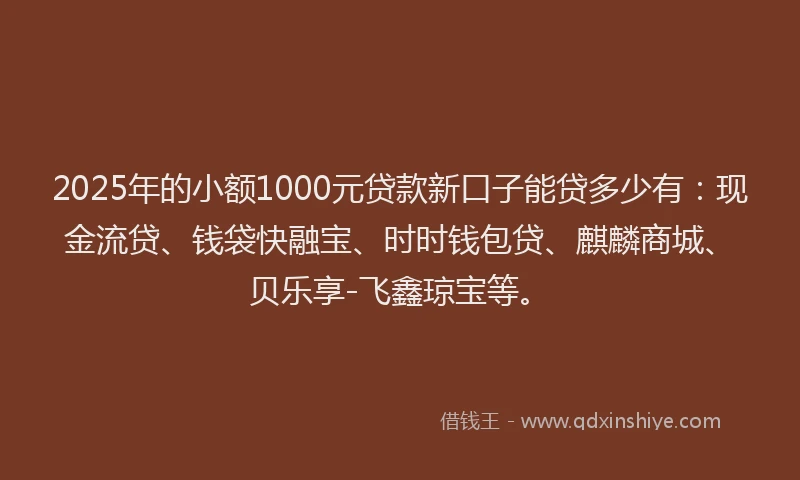 2025年的小额1000元贷款新口子能贷多少有：现金流贷、钱袋快融宝、时时钱包贷、麒麟商城、贝乐享-飞鑫琼宝等。