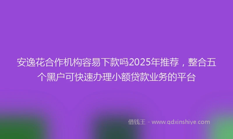 安逸花合作机构容易下款吗2025年推荐，整合五个黑户可快速办理小额贷款业务的平台