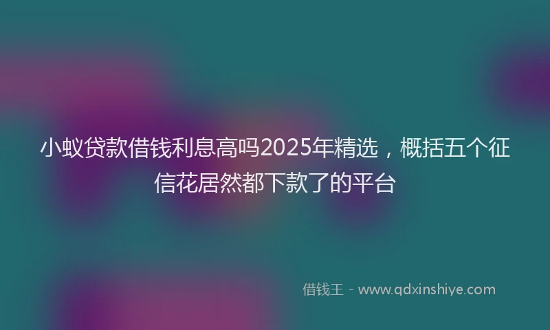 小蚁贷款借钱利息高吗2025年精选，概括五个征信花居然都下款了的平台