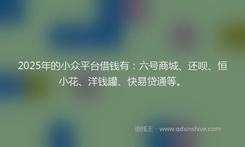 2025年的小众平台借钱有：六号商城、还呗、恒小花、洋钱罐、快易贷通等。