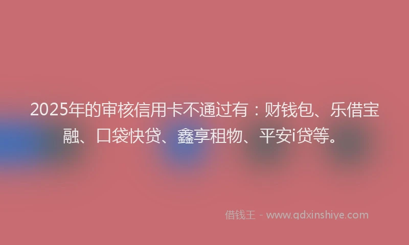 2025年的审核信用卡不通过有：财钱包、乐借宝融、口袋快贷、鑫享租物、平安i贷等。