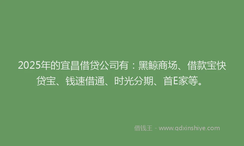 2025年的宜昌借贷公司有：黑鲸商场、借款宝快贷宝、钱速借通、时光分期、首E家等。