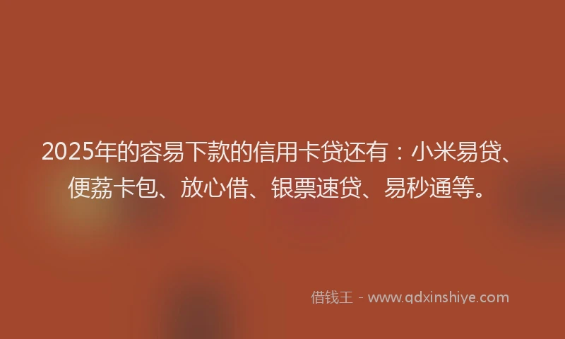 2025年的容易下款的信用卡贷还有：小米易贷、便荔卡包、放心借、银票速贷、易秒通等。