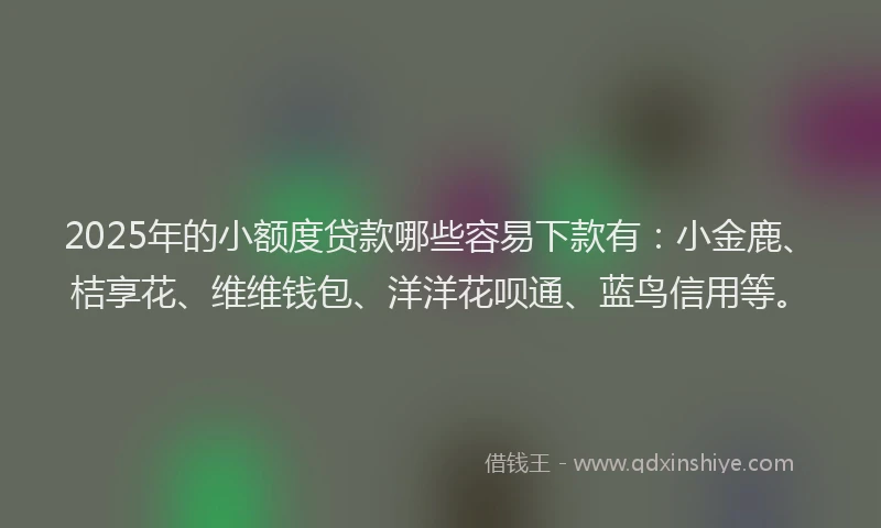 2025年的小额度贷款哪些容易下款有：小金鹿、桔享花、维维钱包、洋洋花呗通、蓝鸟信用等。