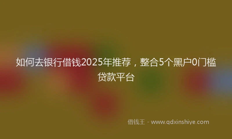 如何去银行借钱2025年推荐，整合5个黑户0门槛贷款平台
