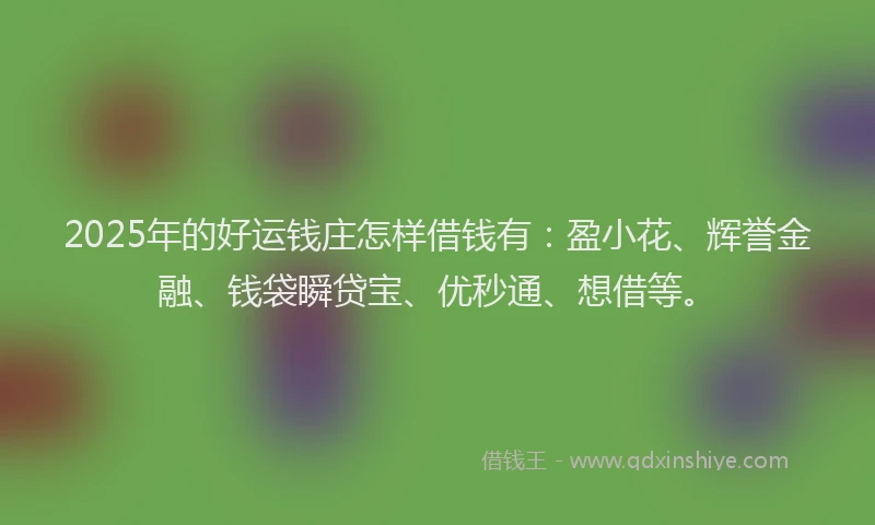 2025年的好运钱庄怎样借钱有：盈小花、辉誉金融、钱袋瞬贷宝、优秒通、想借等。