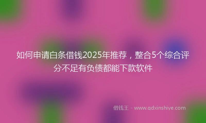 如何申请白条借钱2025年推荐，整合5个综合评分不足有负债都能下款软件