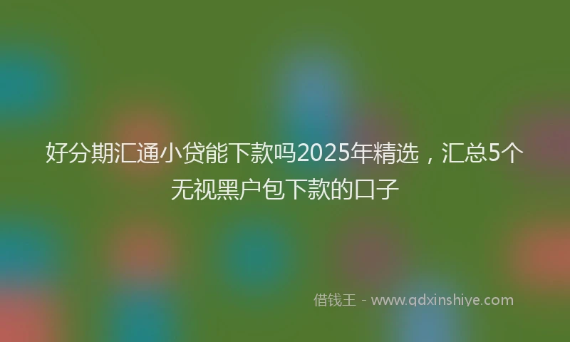 好分期汇通小贷能下款吗2025年精选，汇总5个无视黑户包下款的口子