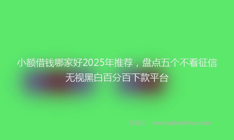 小额借钱哪家好2025年推荐，盘点五个不看征信无视黑白百分百下款平台