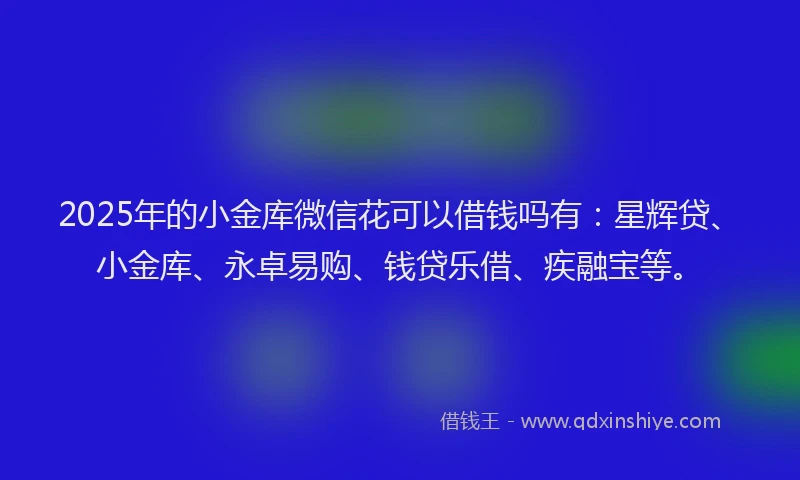 2025年的小金库微信花可以借钱吗有：星辉贷、小金库、永卓易购、钱贷乐借、疾融宝等。