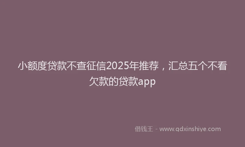 小额度贷款不查征信2025年推荐，汇总五个不看欠款的贷款app