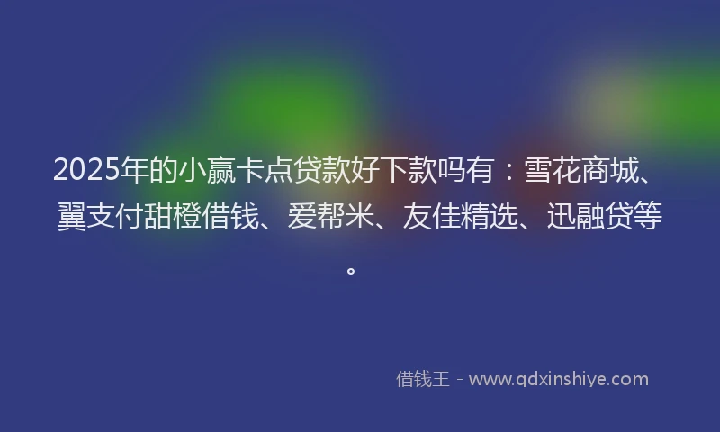 2025年的小赢卡点贷款好下款吗有：雪花商城、翼支付甜橙借钱、爱帮米、友佳精选、迅融贷等。
