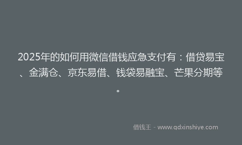 2025年的如何用微信借钱应急支付有：借贷易宝、金满仓、京东易借、钱袋易融宝、芒果分期等。