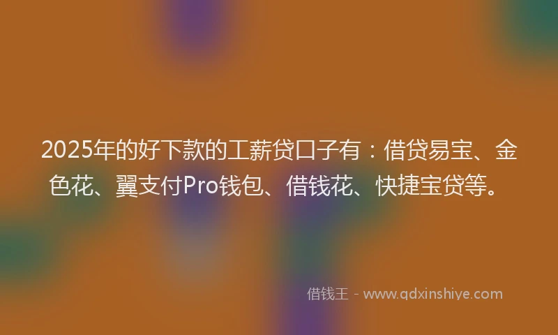 2025年的好下款的工薪贷口子有：借贷易宝、金色花、翼支付Pro钱包、借钱花、快捷宝贷等。