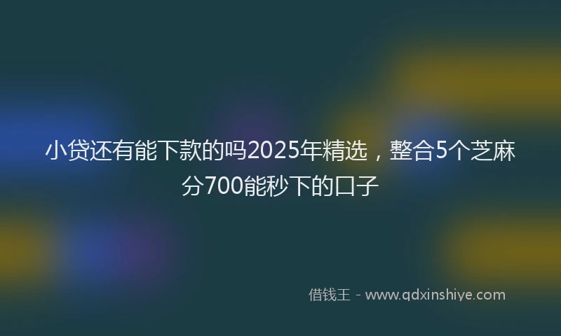 小贷还有能下款的吗2025年精选，整合5个芝麻分700能秒下的口子