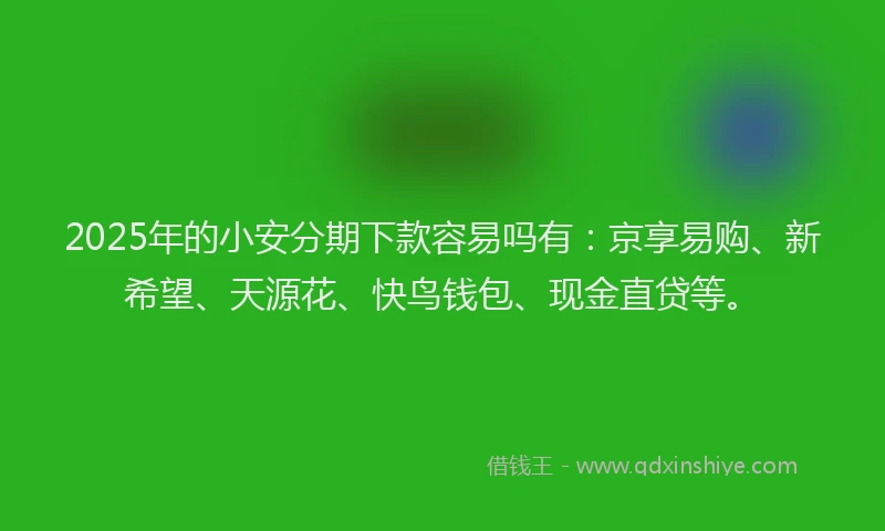 2025年的小安分期下款容易吗有：京享易购、新希望、天源花、快鸟钱包、现金直贷等。