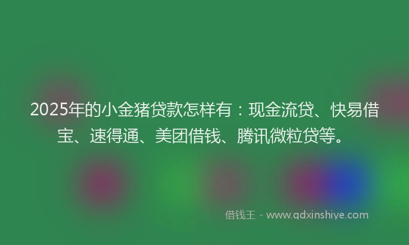 2025年的小金猪贷款怎样有：现金流贷、快易借宝、速得通、美团借钱、腾讯微粒贷等。