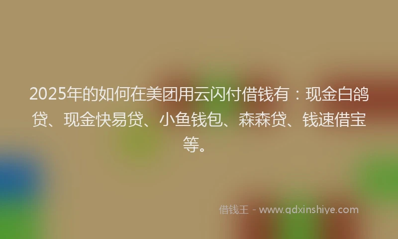 2025年的如何在美团用云闪付借钱有：现金白鸽贷、现金快易贷、小鱼钱包、森森贷、钱速借宝等。