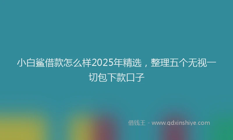 小白鲨借款怎么样2025年精选，整理五个无视一切包下款口子