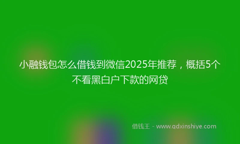 小融钱包怎么借钱到微信2025年推荐，概括5个不看黑白户下款的网贷