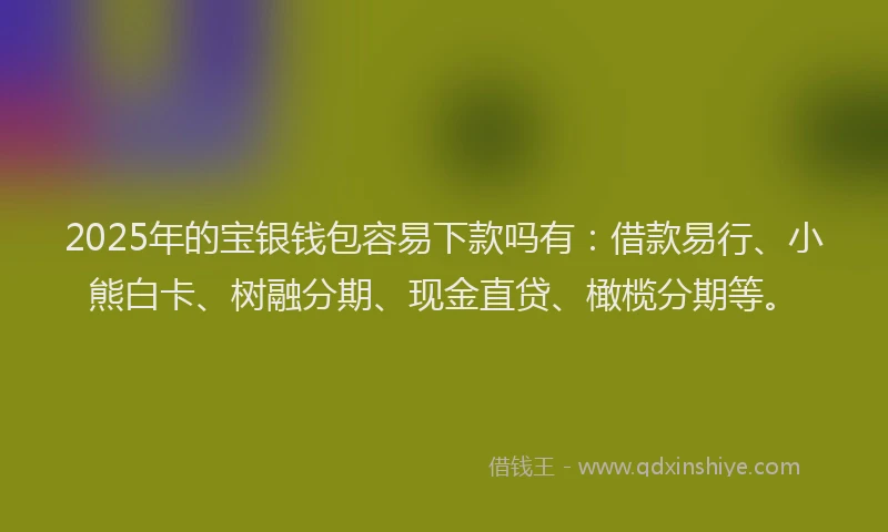 2025年的宝银钱包容易下款吗有：借款易行、小熊白卡、树融分期、现金直贷、橄榄分期等。