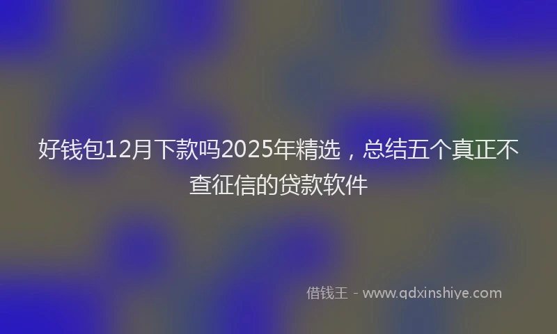 好钱包12月下款吗2025年精选，总结五个真正不查征信的贷款软件