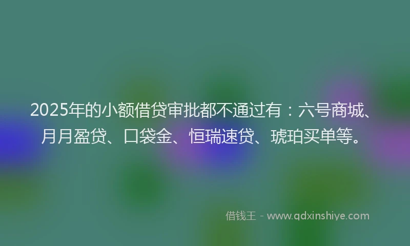 2025年的小额借贷审批都不通过有：六号商城、月月盈贷、口袋金、恒瑞速贷、琥珀买单等。