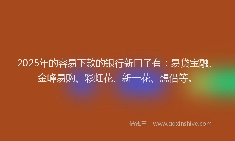 2025年的容易下款的银行新口子有：易贷宝融、金峰易购、彩虹花、新一花、想借等。