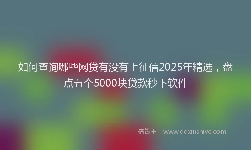 如何查询哪些网贷有没有上征信2025年精选，盘点五个5000块贷款秒下软件