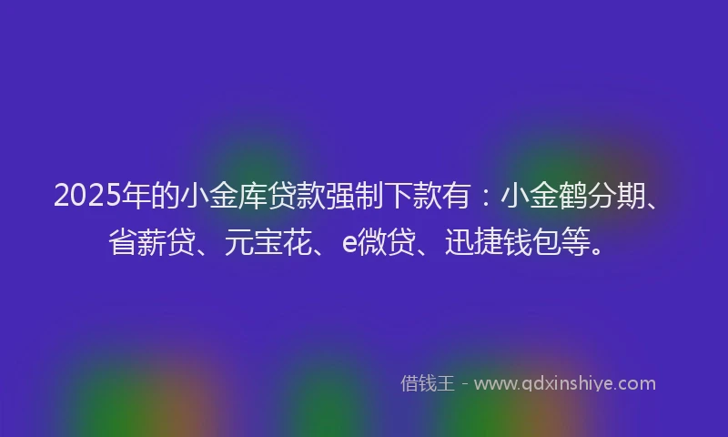 2025年的小金库贷款强制下款有：小金鹤分期、省薪贷、元宝花、e微贷、迅捷钱包等。