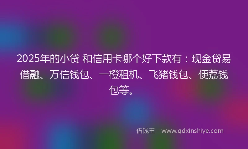 2025年的小贷 和信用卡哪个好下款有：现金贷易借融、万信钱包、一橙租机、飞猪钱包、便荔钱包等。