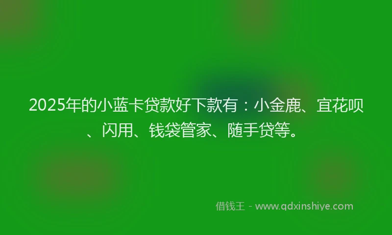 2025年的小蓝卡贷款好下款有：小金鹿、宜花呗、闪用、钱袋管家、随手贷等。