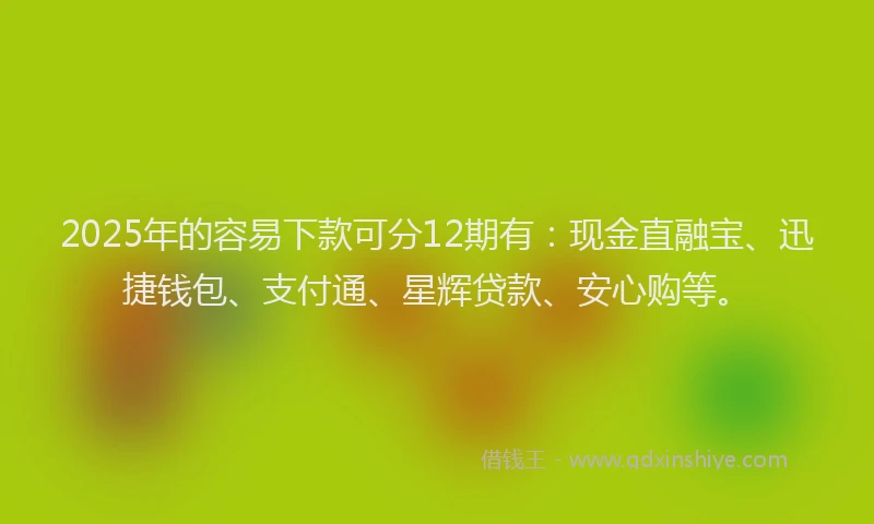 2025年的容易下款可分12期有：现金直融宝、迅捷钱包、支付通、星辉贷款、安心购等。
