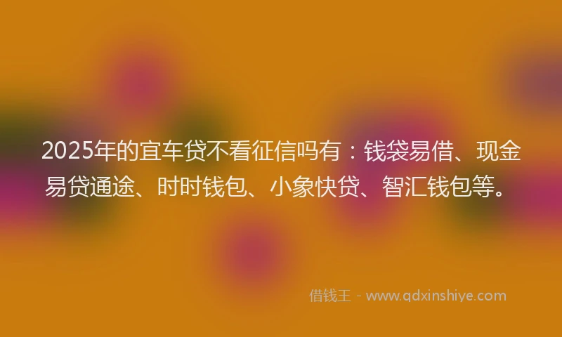 2025年的宜车贷不看征信吗有：钱袋易借、现金易贷通途、时时钱包、小象快贷、智汇钱包等。