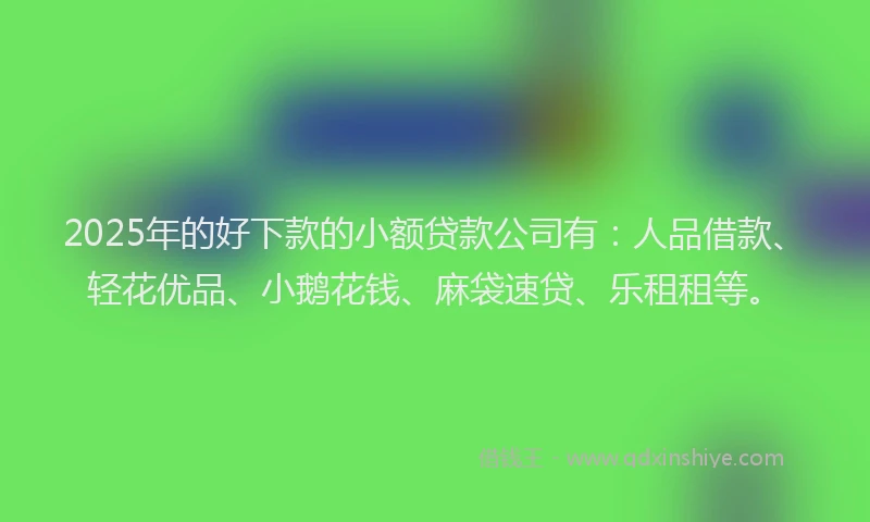 2025年的好下款的小额贷款公司有：人品借款、轻花优品、小鹅花钱、麻袋速贷、乐租租等。