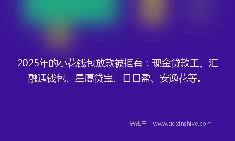 2025年的小花钱包放款被拒有：现金贷款王、汇融通钱包、星愿贷宝、日日盈、安逸花等。