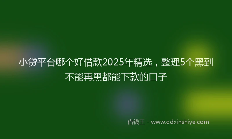 小贷平台哪个好借款2025年精选，整理5个黑到不能再黑都能下款的口子