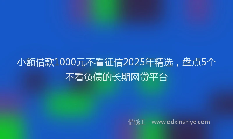 小额借款1000元不看征信2025年精选,盘点5个不看负债的长期网贷平台