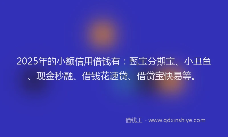 2025年的小额信用借钱有：甄宝分期宝、小丑鱼、现金秒融、借钱花速贷、借贷宝快易等。