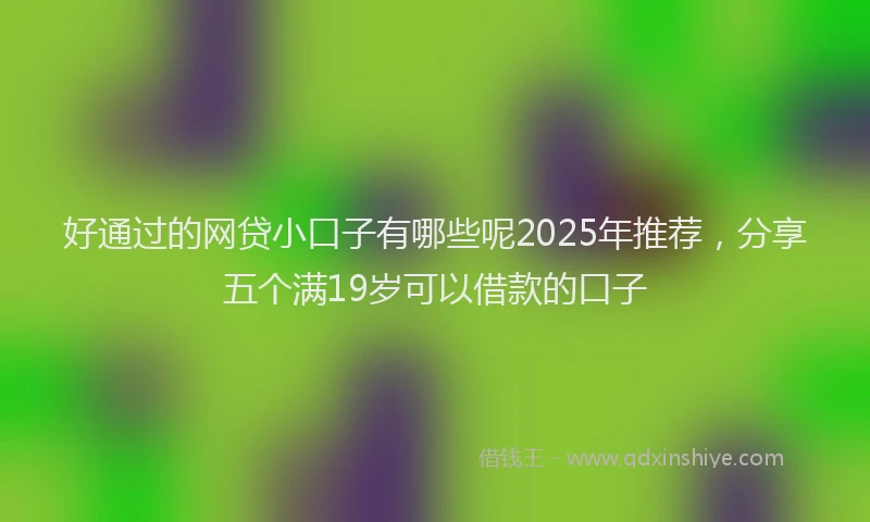 好通过的网贷小口子有哪些呢2025年推荐，分享五个满19岁可以借款的口子