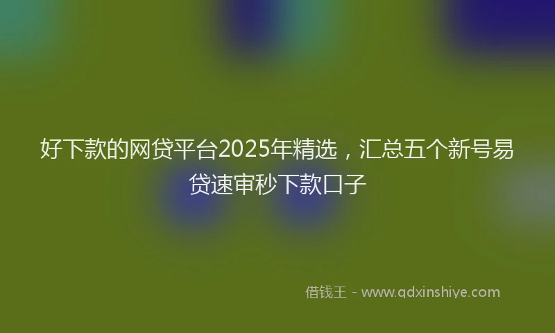 好下款的网贷平台2025年精选，汇总五个新号易贷速审秒下款口子