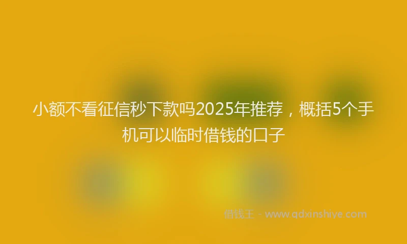 小额不看征信秒下款吗2025年推荐，概括5个手机可以临时借钱的口子