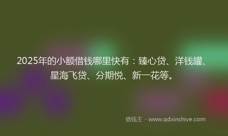 2025年的小额借钱哪里快有：臻心贷、洋钱罐、星海飞贷、分期悦、新一花等。