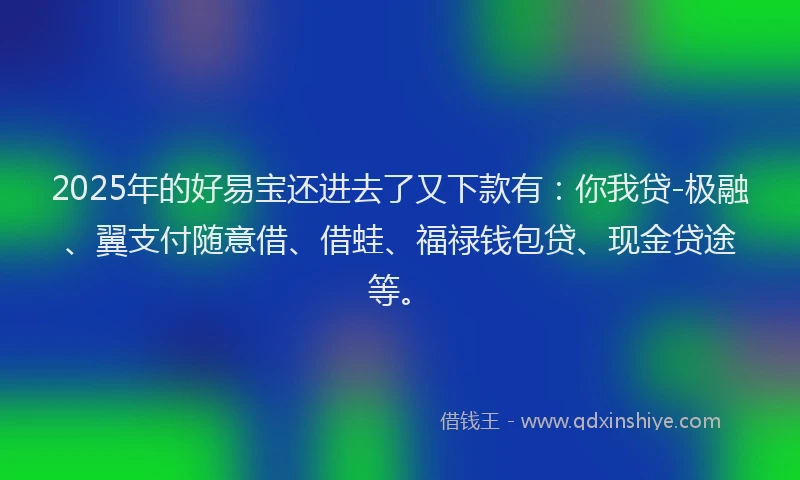 2025年的好易宝还进去了又下款有：你我贷-极融、翼支付随意借、借蛙、福禄钱包贷、现金贷途等。