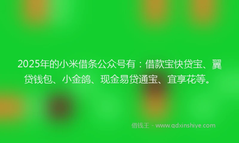 2025年的小米借条公众号有:借款宝快贷宝、翼贷钱包、小金鸽、现金易贷通宝、宜享花等。